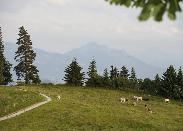 Panoramagasthof Auf Dem Auerberg Szálloda 3*