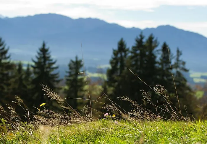 Szálloda Panoramagasthof Auf Dem Auerberg 3*