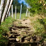 Szálloda Panoramagasthof Auf Dem Auerberg 3*