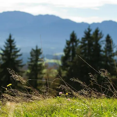 Hotel Panoramagasthof Auf Dem Auerberg 3*